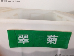 「翠菊種子」最新翠菊種子_價格_圖片_種植技術